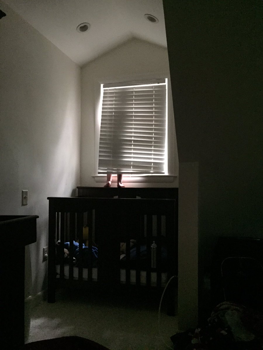StormToddlers's tweet photo. Bedtime is going great 🙈 #howdidyougetupthere #shouldntbesurprised #professionalclimber #akatoddler https://t.co/gTiBtElX5t