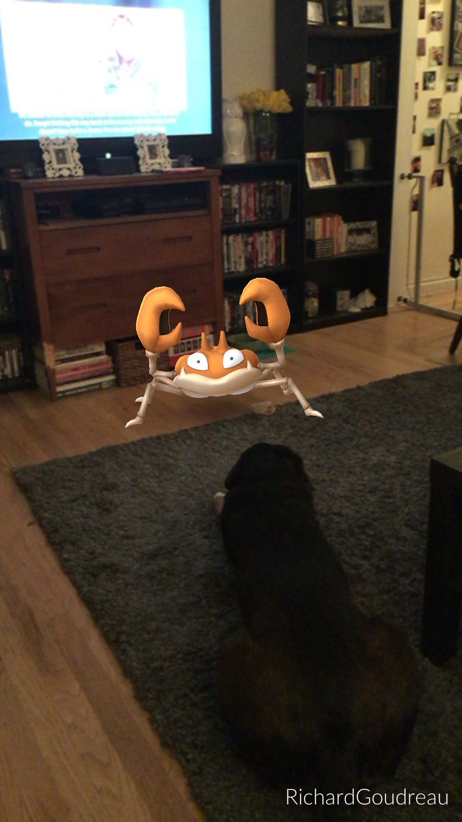 tranzmute_art's tweet image. Scout fails at being my lead Pokemon 😂#pokemonGo #pokemonfail