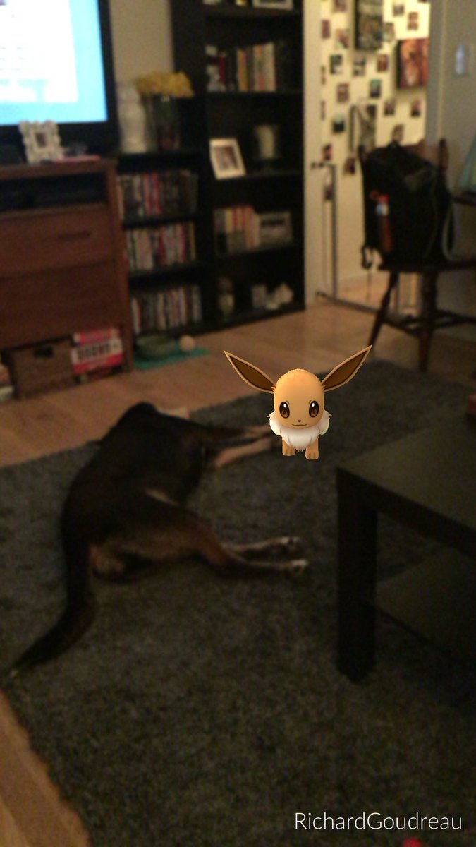 tranzmute_art's tweet image. Scout fails at being my lead Pokemon 😂#pokemonGo #pokemonfail