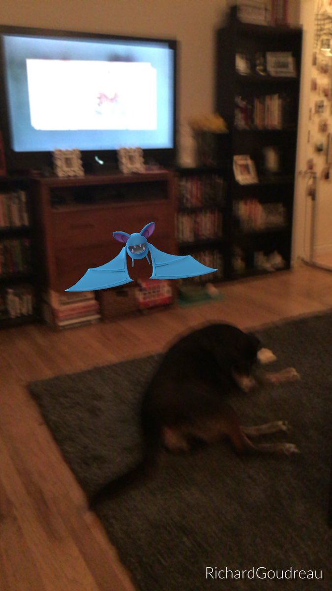 tranzmute_art's tweet image. Scout fails at being my lead Pokemon 😂#pokemonGo #pokemonfail