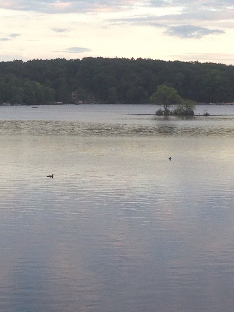 VWestedt's tweet image. 