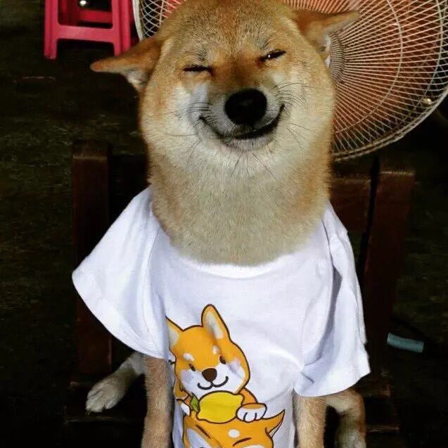 Dear Florida,
Please don't be so hot and humid   Thanks!

-Hayden