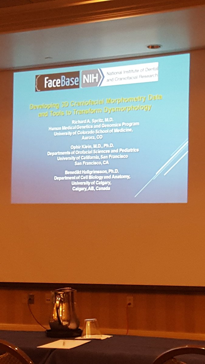 SanfordCoRDS's tweet image. CoRDS &amp;amp; #Stickler Involved People Community is about to watch a video on #FaceBase #Craniofacial #RareDisease Tool