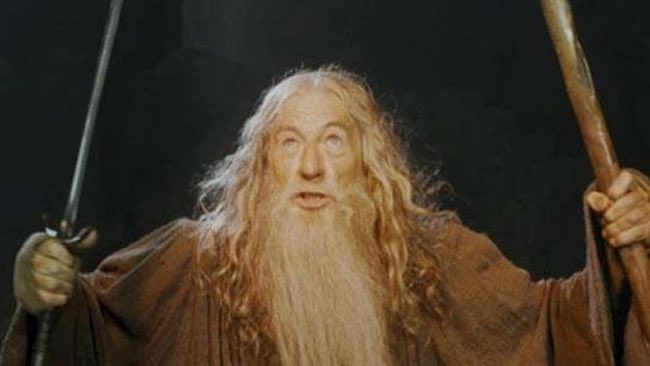 JTylerKorokis's tweet photo. You Shall Not Get A Raise!!!! @jpsGodservant7 @andyforister https://t.co/06bzUHIAzZ