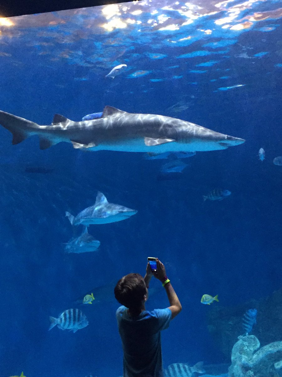 Enjoying the learning opportunities at the <a href="/NCAquarium_RI/">NC Aquarium on Roanoke Island</a>