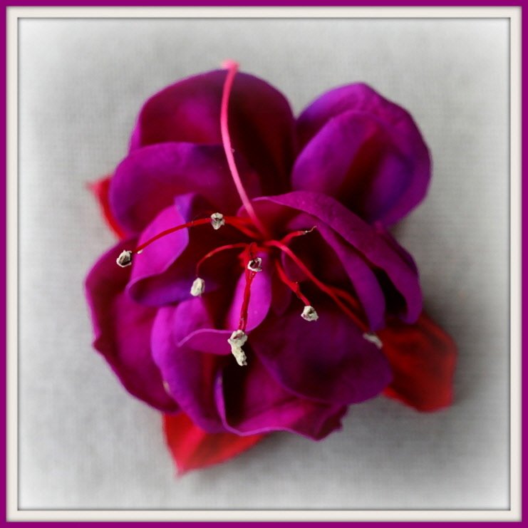 하이룽 좋은하루 tweet media