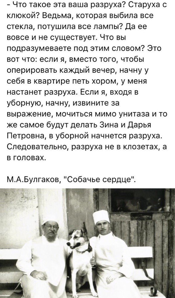 высказывания из собачьего сердца