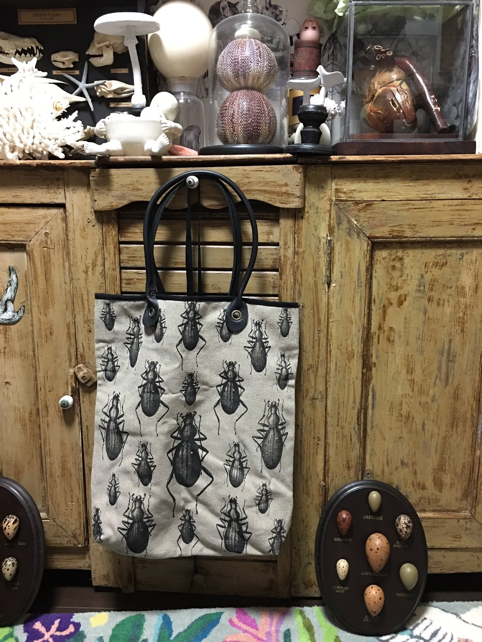 Yuko higuchi ヒグチユウコ on X:  