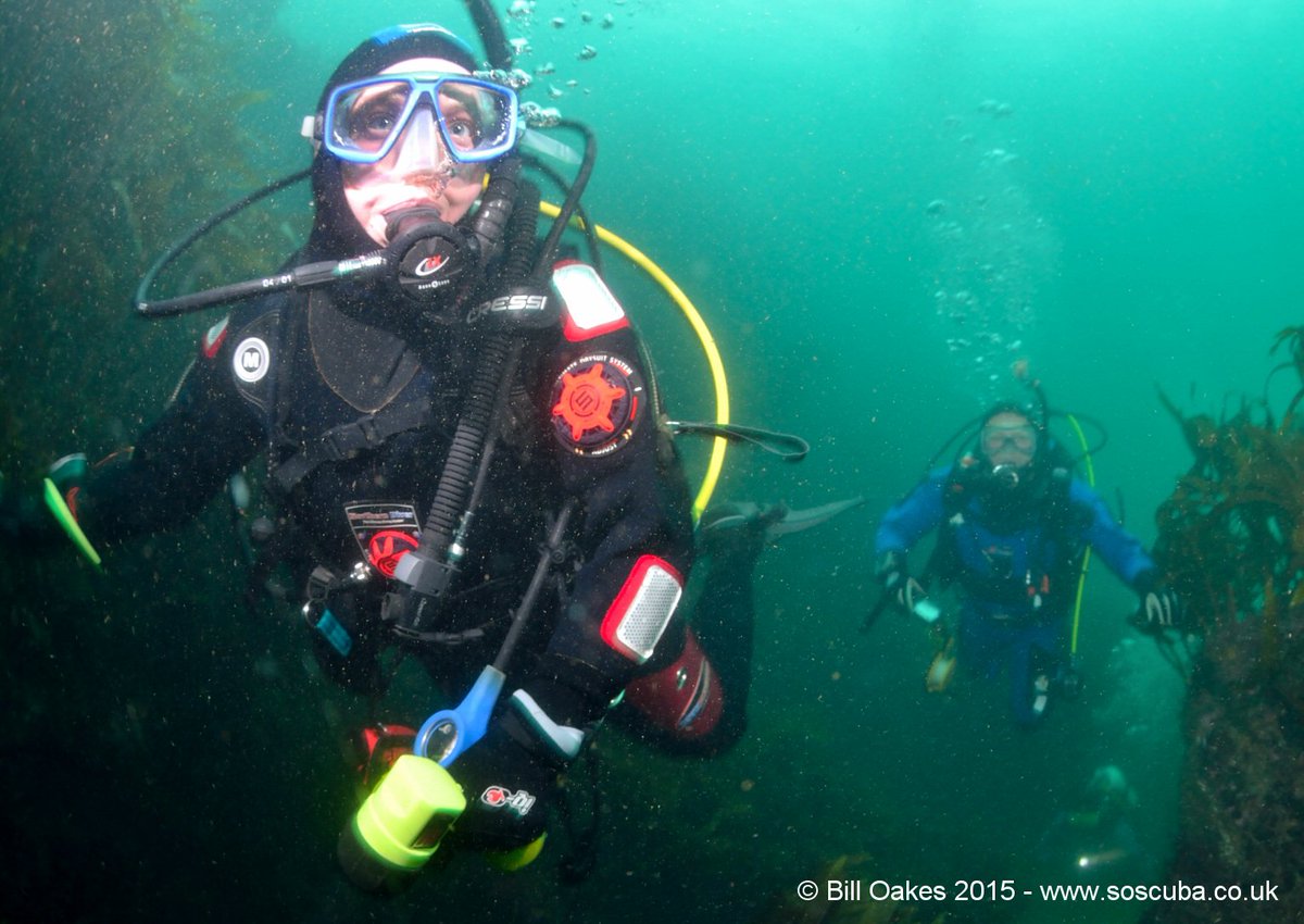 Diving Direct (divingdirect) Twitter