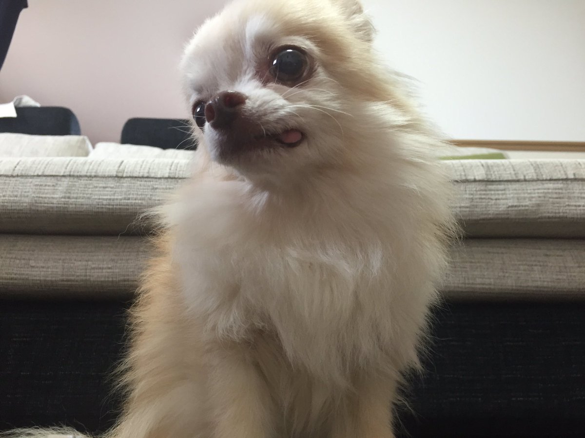 תג 一人暮らしの風邪は辛い בטוויטר