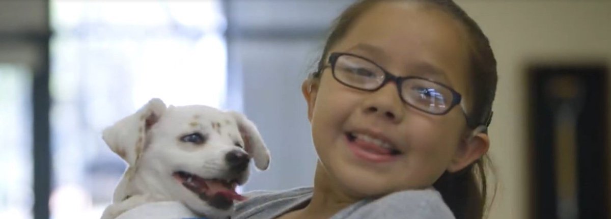 antena3com's tweet photo. Julia y su perro Walter, ambos sordos, se comunican por lenguaje de signos https://t.co/yZaLSlEoJm https://t.co/zoMh6ofhgy