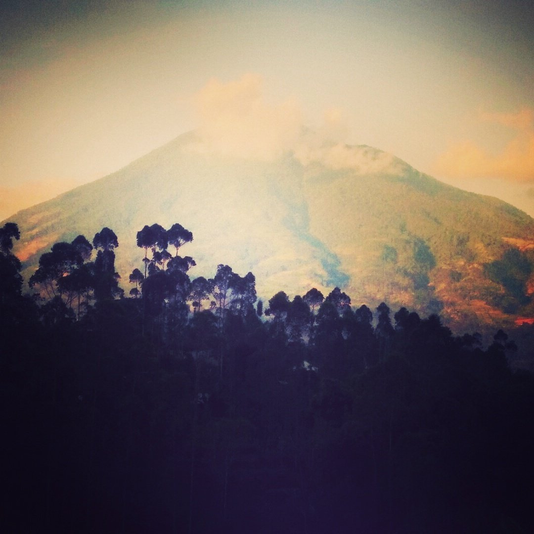 Oleh Curug Ece tweet media