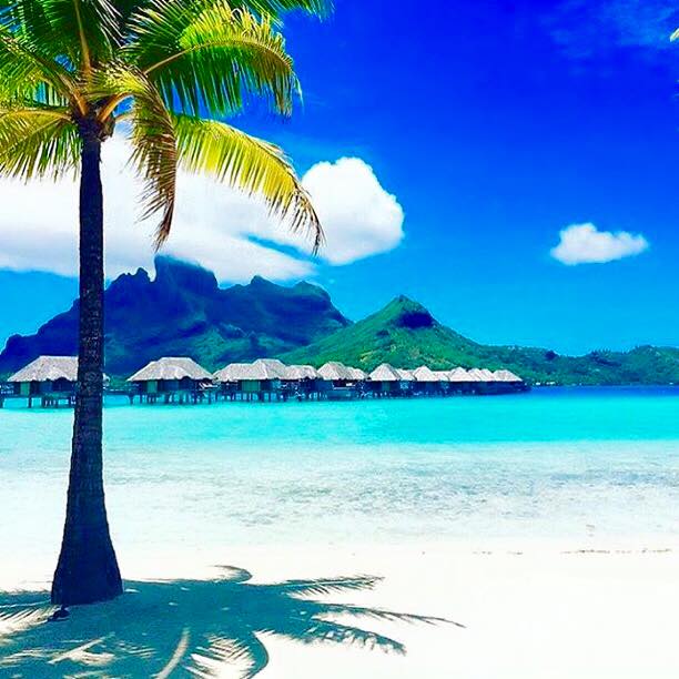 buildwithpeter's tweet image. One of my favorite resorts in the South Pacific!