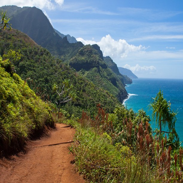 buildwithpeter's tweet image. Such an awesome hiking trail!