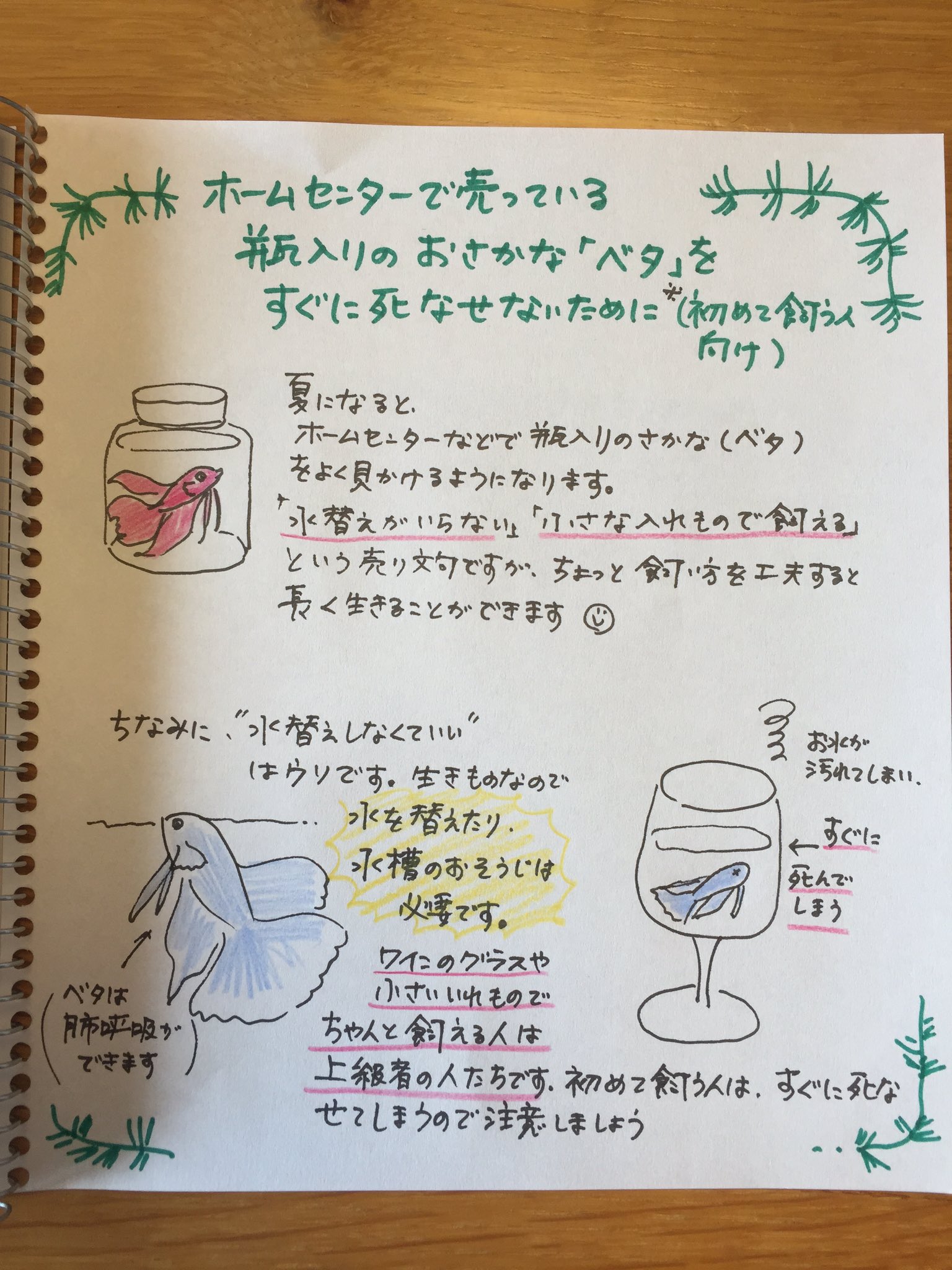 Twitter 上的 𝕟𝕪𝕠𝕣𝕠𝕣𝕠 瓶入りのおさかな ベタ を飼ってみたいあなたに 先の4枚のイラストをまとめました これが全てではないですが 初心者が瓶だけでで飼うのはとても難しいというのを知ってほしい ベタ アクアリウム 手書きツイート T Co Twitter 上的 𝕟𝕪𝕠𝕣𝕠𝕣𝕠 瓶入りのおさかな ベタ を飼ってみたいあなたに 先の4枚のイラストをまとめました これが全てではないですが 初心者が瓶だけでで飼うのはとても難しいというのを知ってほしい ベタ アクアリウム 手書きツイート T Co