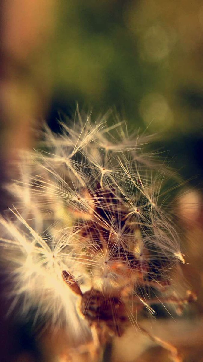 Sulaiman_hamad's tweet photo. احد نتائج تجربة اليوم على السناب بستخدام عدسة alloclip
:
:
:
باقي التجربه في سنابي Sulaiman_hamad https://t.co/GouyqDgFFG