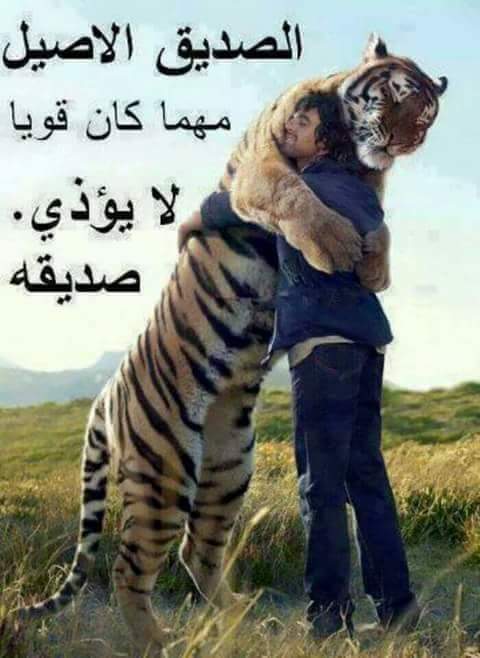 ابن جده 15 (@alrymy290) on Twitter photo 