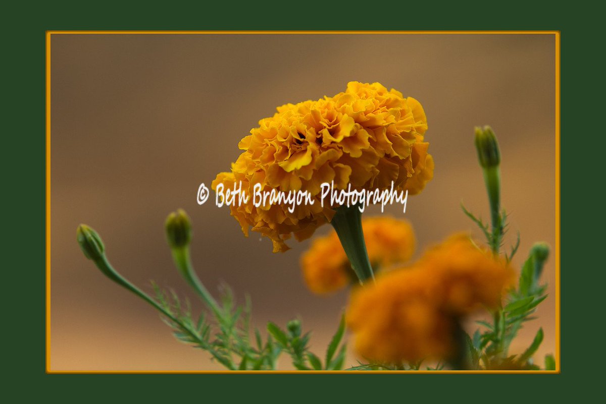 하이룽 좋은하루 tweet media