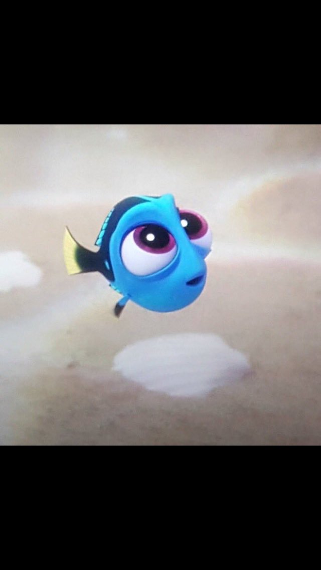 Whatgirlswant68's tweet photo. Baby dory has to be the cutest thing in the whole world😍 https://t.co/gZDeEBmrjA