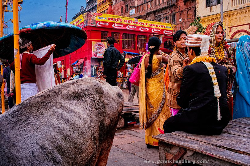 PorasChaudhary's tweet image. Melodramatic mornings of #dashashwamedh #ghat #varanasi #cow #newlywedcouple #priest
instagram.com/p/BHoOf_wDHYf