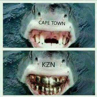 CashReddy's tweet photo. Hey @GuyMcDonald you reckon you no longer 1 Shark supporter eksê?? I can see why!! Tekweni shark got more teeth eksê https://t.co/pmvJlaNLf2