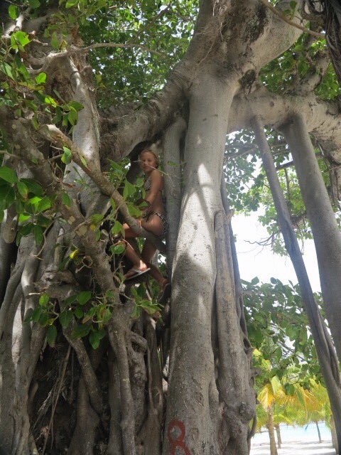 InfoCerulean's tweet photo. It takes a while to get there! But where you reach it's awesome in #Maldives #budgetholiday #beachside https://t.co/4lKZZeiSpj