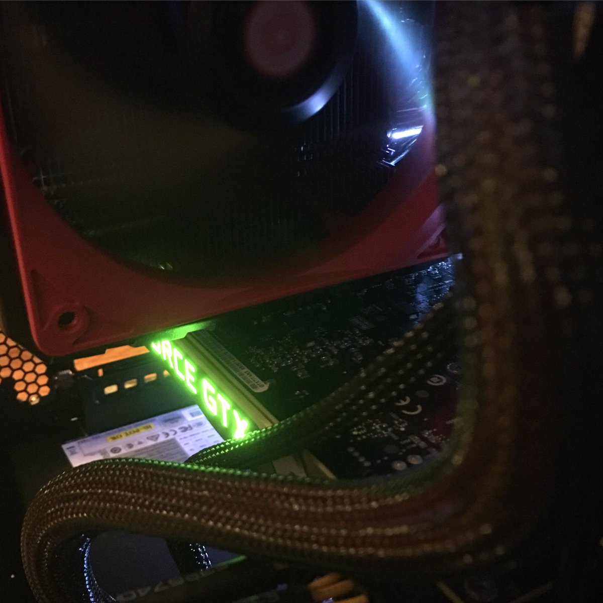 Dan Riddle tweet media