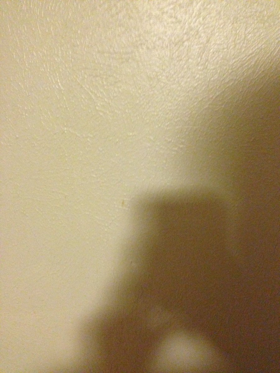 t_edgar88's tweet photo. Selfie shadow for the daily create! @ds106dc #ilt5340 #tdc1643 https://t.co/vO0Vx1nzUp
