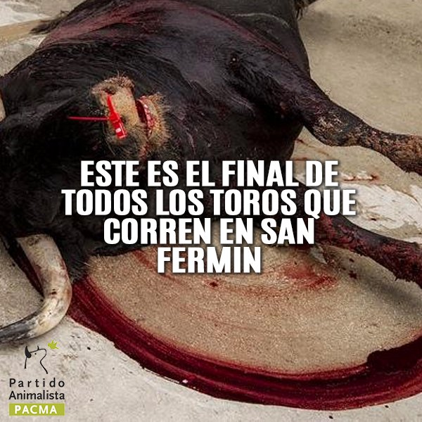 En #SanFermines2016 todos los toros que corren por la mañana, son ejecutados por la tarde #Encierro3TVE