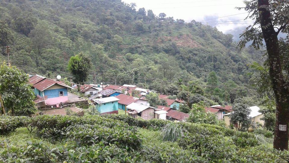 TheDarjChron's tweet photo. हाम्रो घर कहिले बनिने होला ?
जीटीए अन्तर्गत बनिने हाम्रो घर घयाबारी मिरिक पैह्रो...

Read: https://t.co/7thhvqB9ib https://t.co/HitC3ggvE1