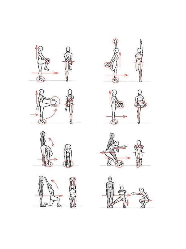 SquashSkills's tweet photo. For squash players, dynamic flexibility exercises are far more beneficial than traditional static stretches! #squash https://t.co/m8kNHdDWQK