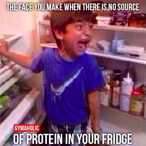 getthatbode's tweet photo. #rt  The face you make when there is no source of protein in your fridge. #struggleisreal #funny #humor #meme https://t.co/NNzJFCGkKV