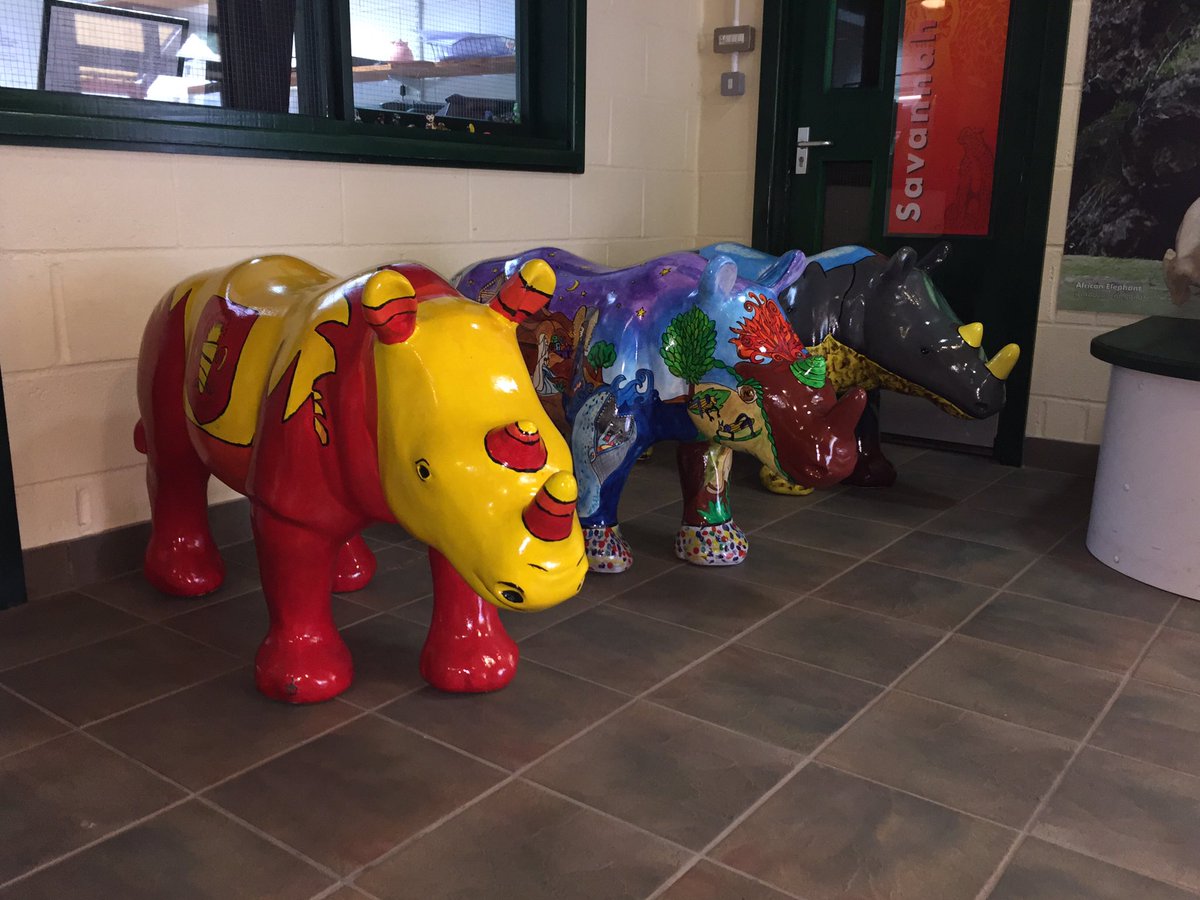 CarolineWinyard's tweet image. Baby rhinos all over @PaigntonZoo