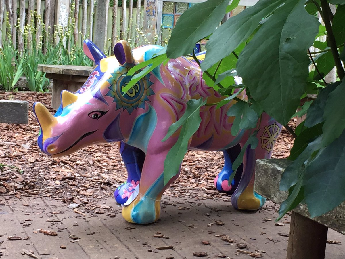 CarolineWinyard's tweet image. Baby rhinos all over @PaigntonZoo