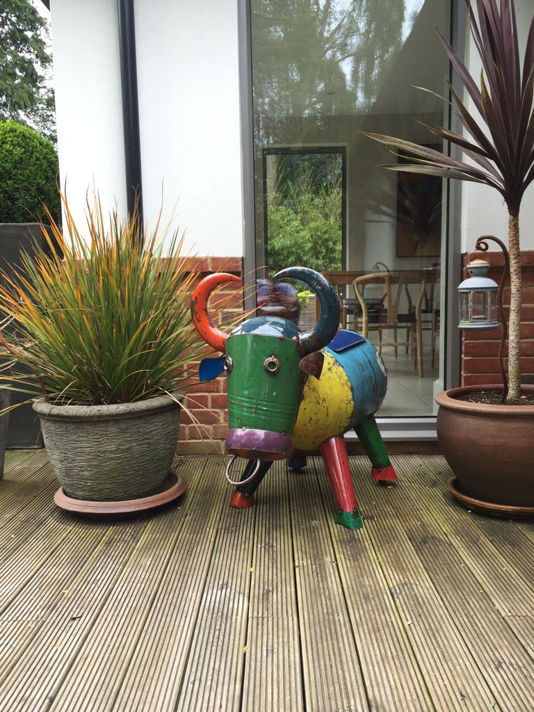 CPitkethly's tweet photo. Meet Bruce #beercow https://t.co/DXyHDexOW4