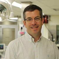 RuralLiv's tweet photo. OVC Professor Discusses Hazards Of Leaving Pets In Cars During Summer @OntVetCollege -  https://t.co/4ZVk3q1sKk https://t.co/UEYQFMgP1K
