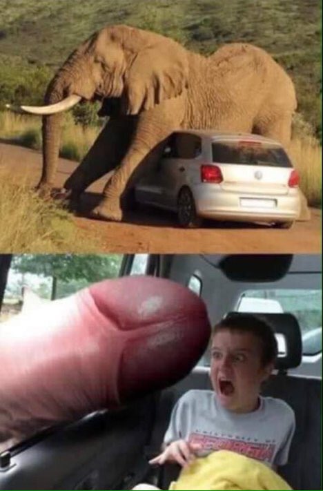 SquirtIes's tweet image. 