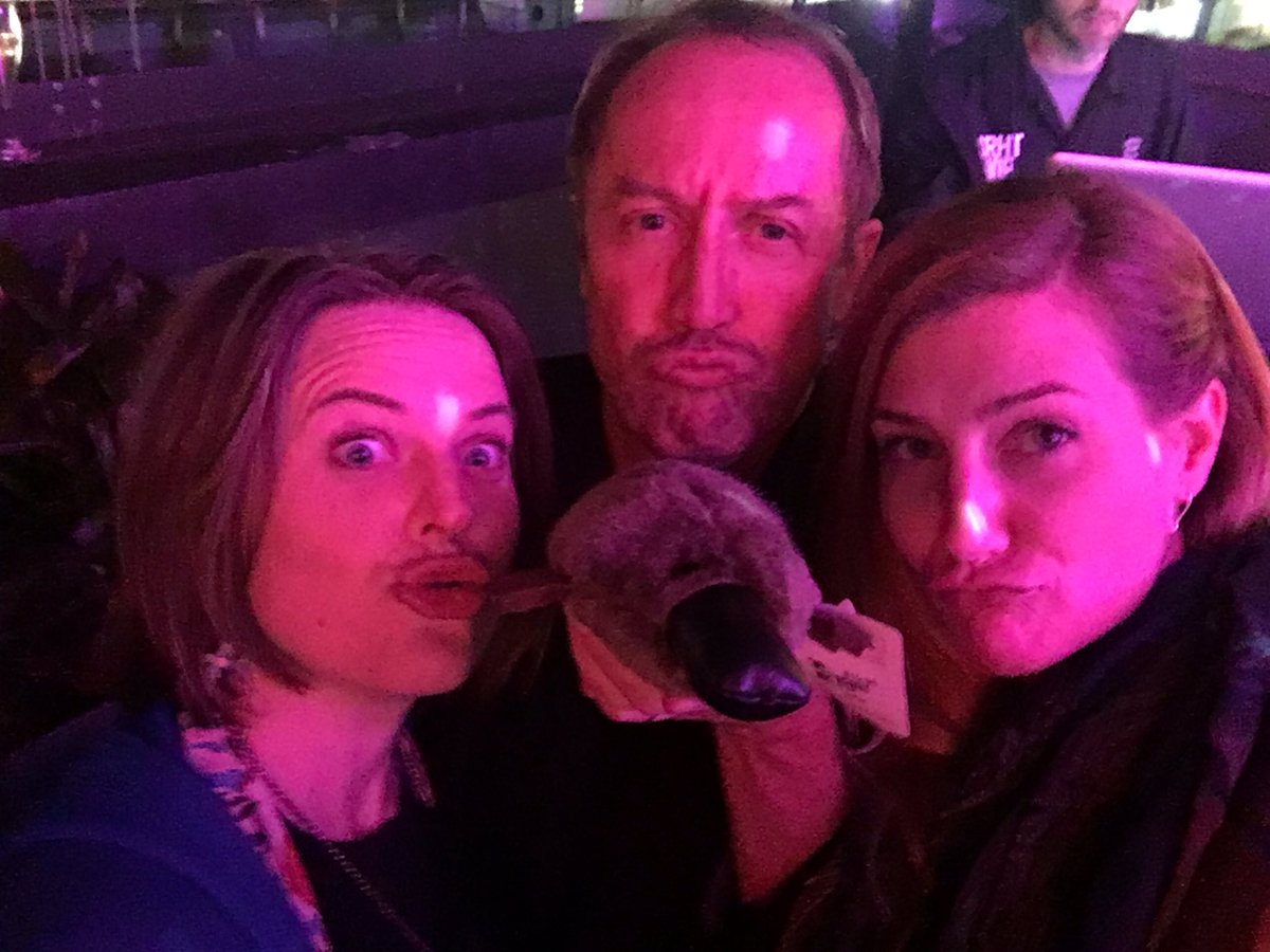 saverygo's tweet photo. .@megcevans @HugePossum @PetrelStation @MaseykF Excellent end to #SCBO2016! #Platypusface #duckface https://t.co/EjmBg9HdTG