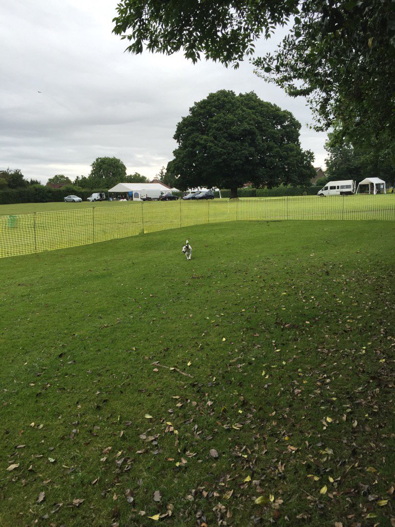 Keen but a bit too early for the dog show.