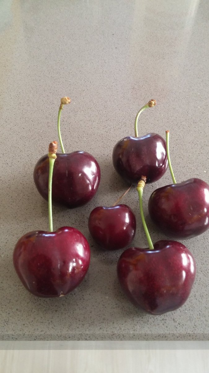 Stainesfarmshop's tweet photo. Today is the day. . stainesfarmshop super cherries are in stock ! #whitstable #stainesfarmshop #keepyapoundslocal https://t.co/dkMjsWi0cr