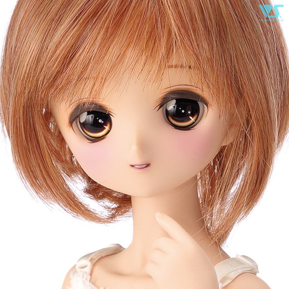日本製/今治産 MDD レナ Rena - 通販 - www.bonkulovic.com
