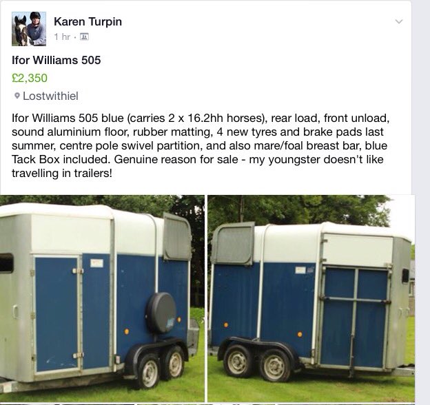 KarenTurps's tweet photo. Ifor Williams horse trailer 505 blue for sale. #equestrian #Cornwall #horsetransport #forsale https://t.co/dnNHBU725u