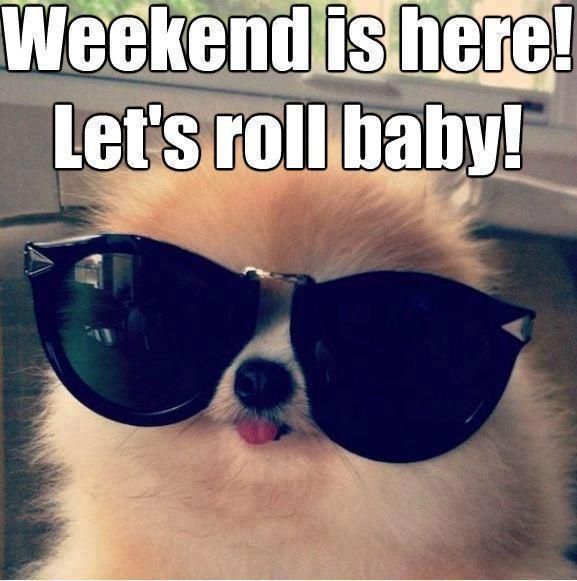 Happy weekend everyone :) Have a fun one!
#Happy #Weekend #HappyPaws