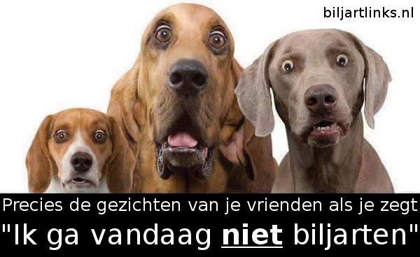 biljartlinks's tweet photo. Biljartnieuws: https://t.co/ASnlvVDter https://t.co/xZoYtYSB3Y
