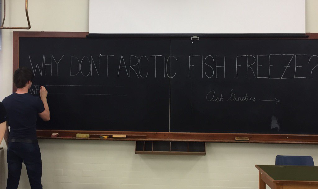 A very good question-any thoughts? Find out the answer at the sciences hub in purple 3 #futurekings