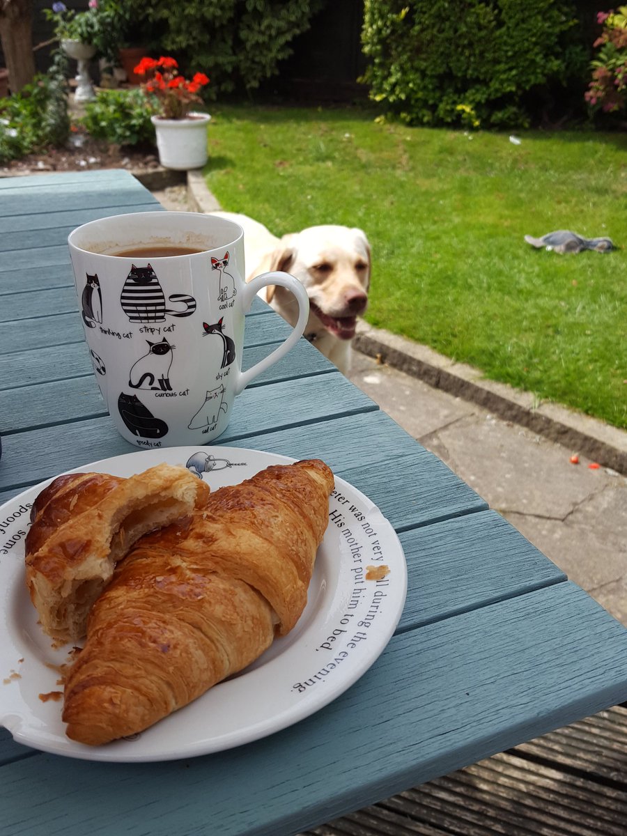 BellaBisxit's tweet image. I'm waiting patiently for a piece of croissant if there is a bit going spare....please #drowling