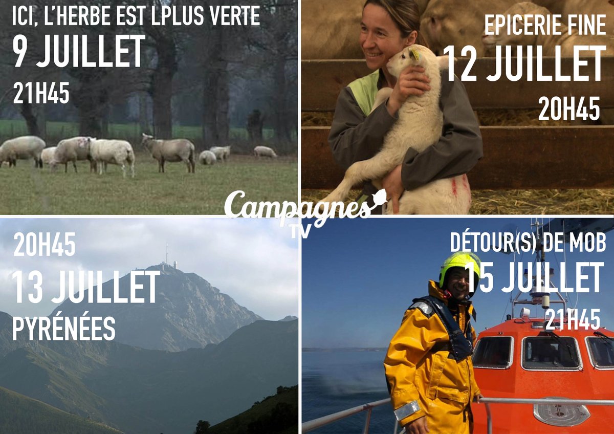 Campagnes TV tweet media