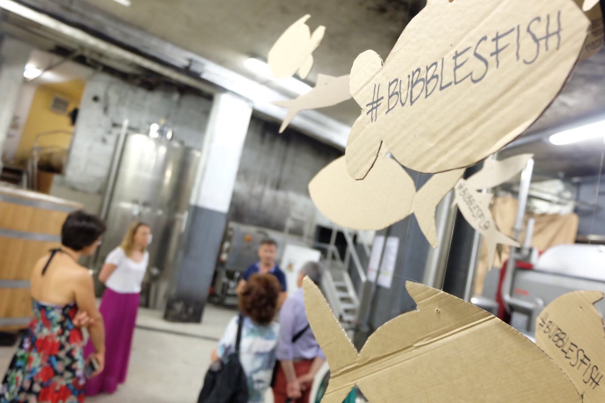 In #cantina a <a href="/monfort_cantine/">Cantine Monfort</a> #oggi #winetasting <a href="/trentodoc/">Trentodoc</a> per #bubblefish: 2 giornate di #visiteincantina! Ottimo