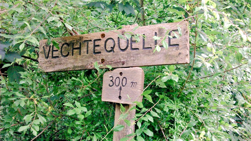 My_Wooden_Shoes's tweet photo. One river, two cyclists, seven campsites, 380 km #Vechtetalroute #finish #Darfeld #Germany #cycling @VechtdalTIP https://t.co/yYQroIgkQI