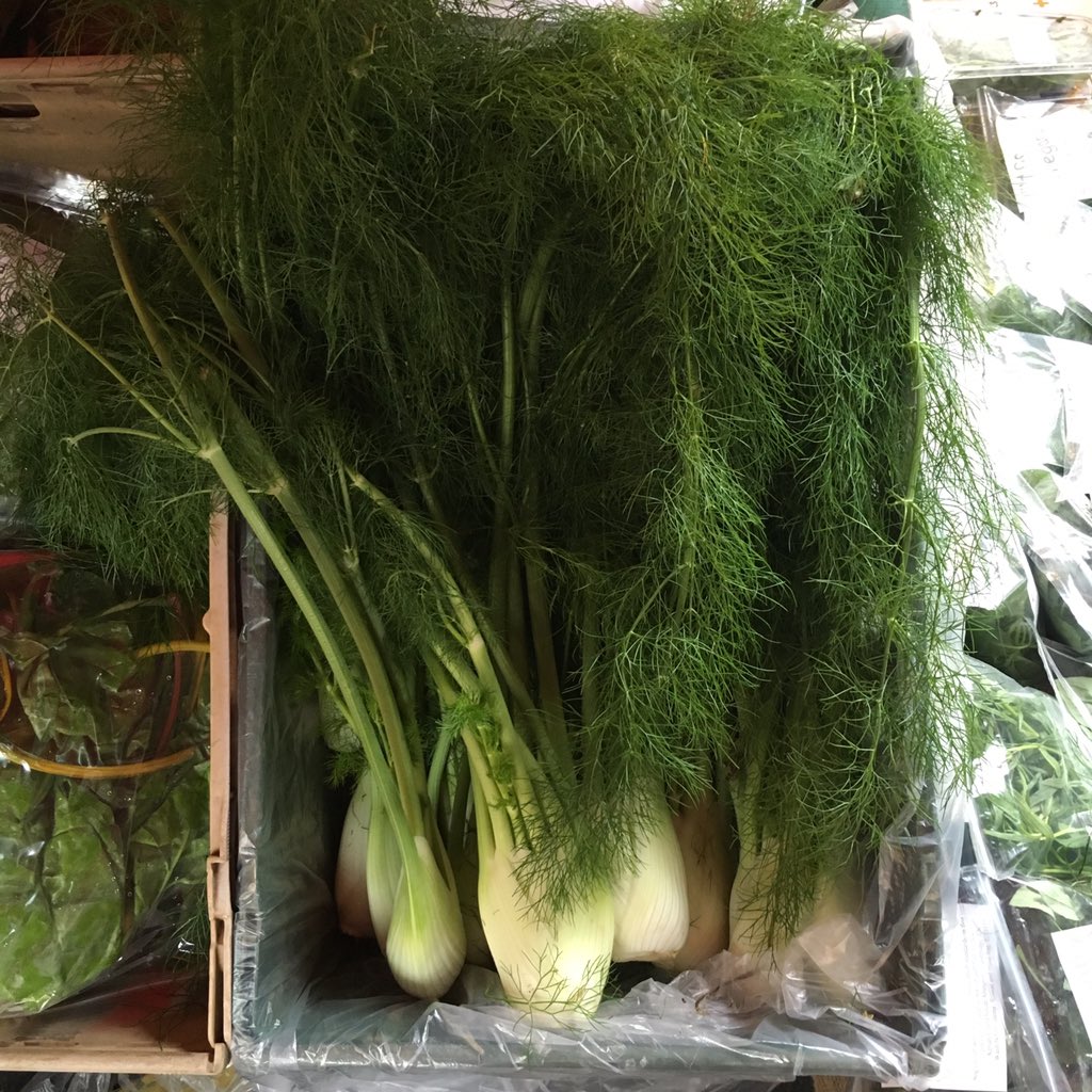 ChefTomHunt's tweet photo. Lovely fennel with tops #roottofruiteating @WildOrganic @boroughmarket today https://t.co/YjIP8i2YHQ
